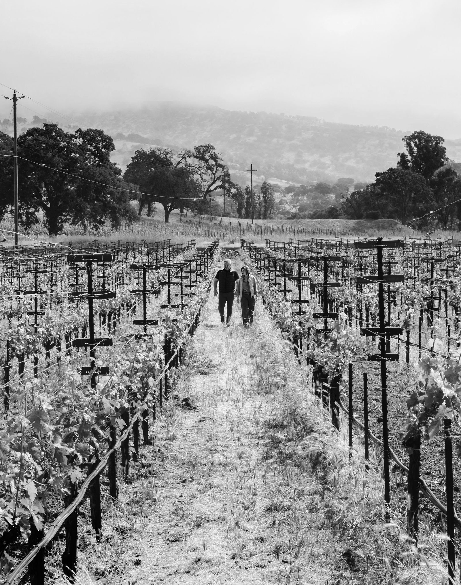 Kia Behnia and Tracy Borman walking through the Kiatra vineyards