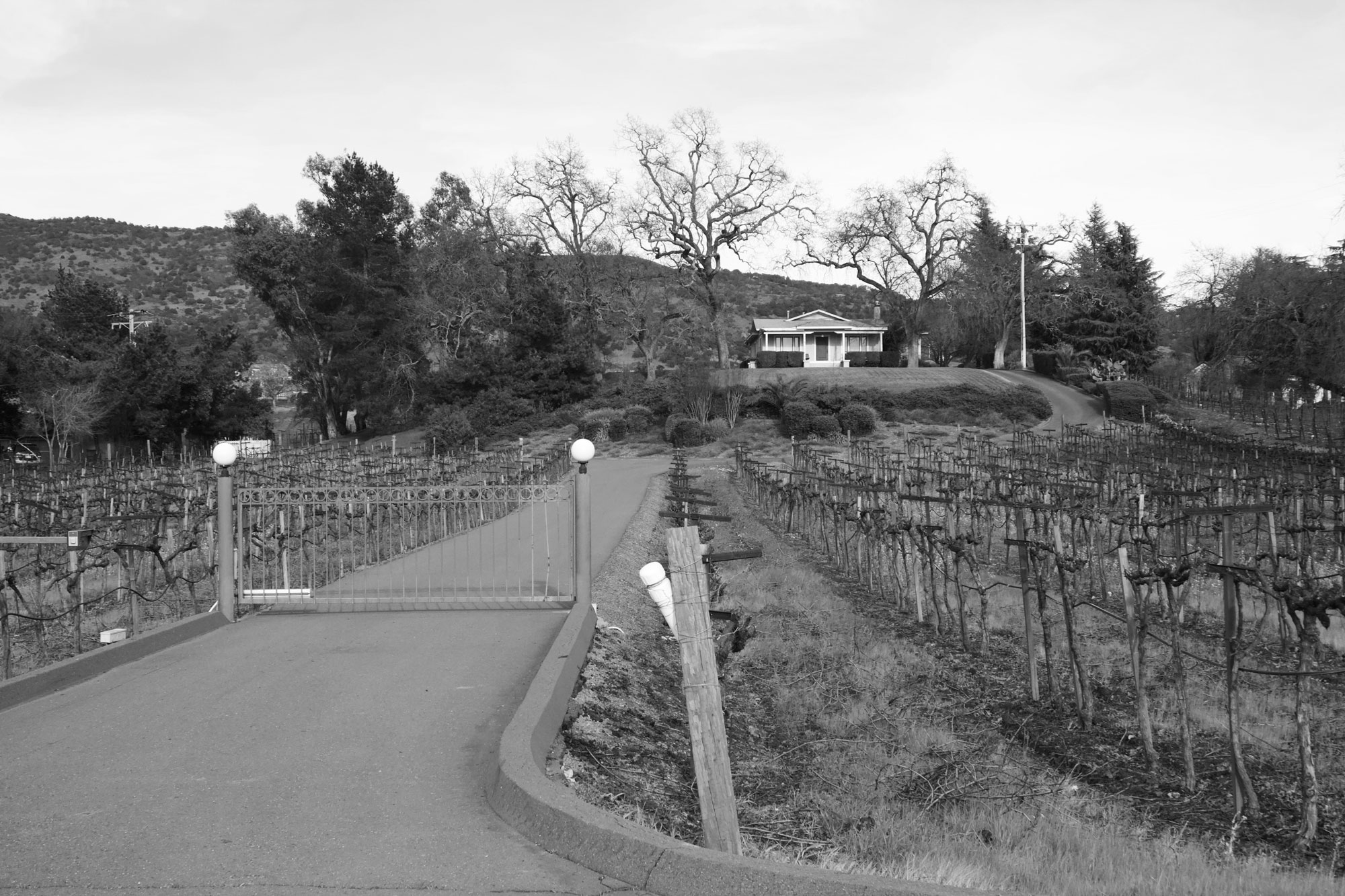 The old cottage at Kiatra Vineyards