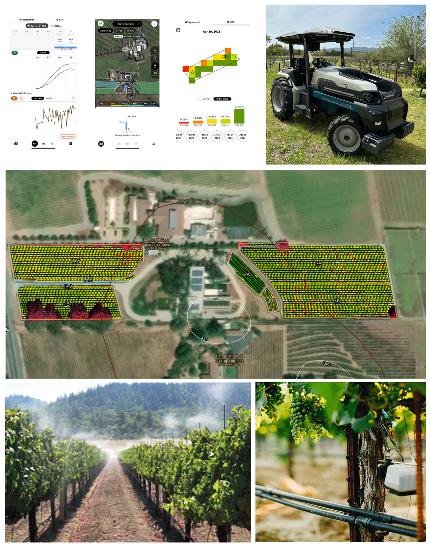 Collage of photos depicting the Neotempo SMART vineyard