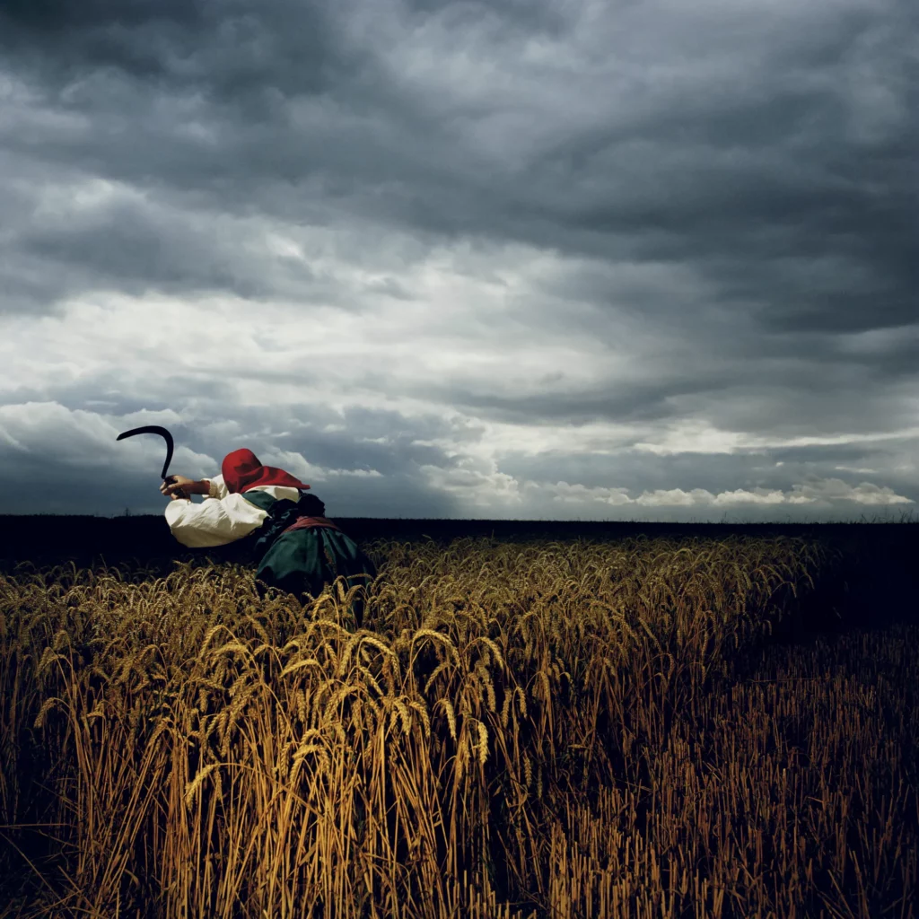 Woman wearing a red head covering carrying a scythe in a field